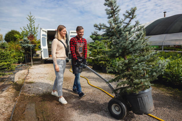 Best Tree Trimming Near Me  in Laguna Hills, CA